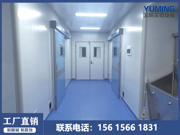 百级层流净化室